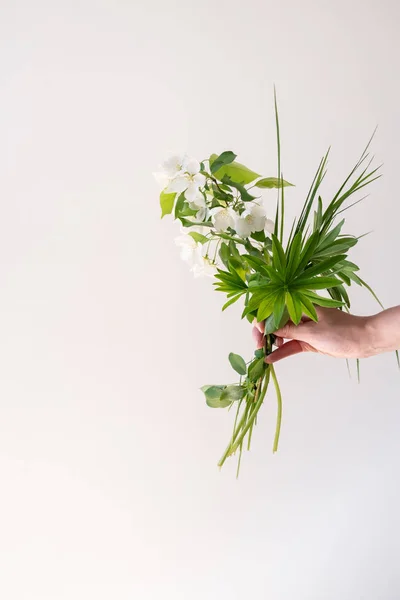 Bouquet di rami di Gelsomino ed erbe da campo su sfondo bianco — Foto Stock