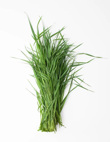 Stelletje groen gras op witte achtergrond — Stockfoto