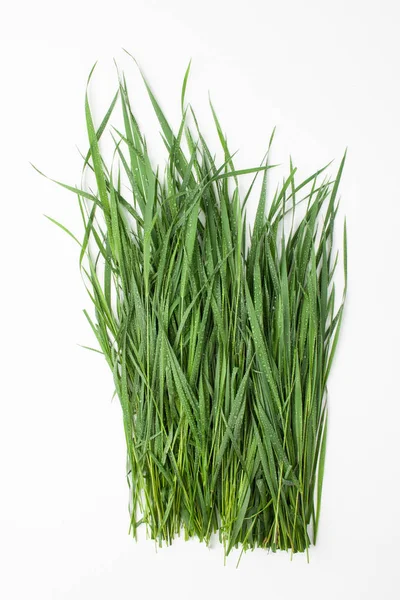 白い背景に緑の草の束 — ストック写真