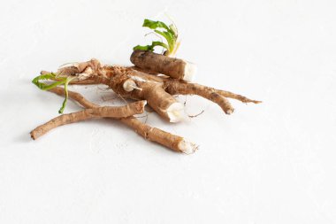 Beyaz arka plan üzerinde yaprakları ile hindiba kökü (Cichorium intybus). 