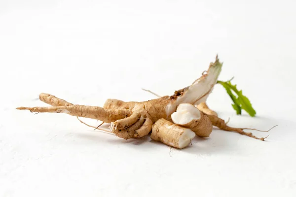 Nyers cikória gyökér (Cichorium intybus) fehér háttérrel rendelkező levelekkel. — Stock Fotó