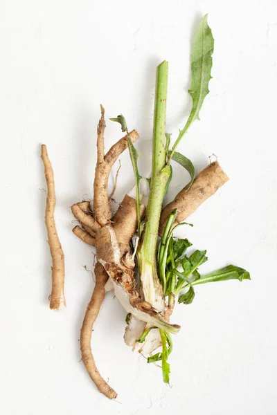 Nyers cikóriagyökér (Cichorium intybus) fehér háttérrel, levelekkel. — Stock Fotó