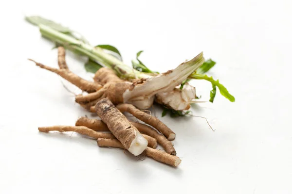 Akar chicory mentah (Cichorium intybus) dengan daun pada latar belakang putih . — Stok Foto