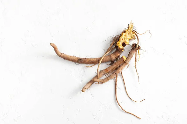 Rumex Crispus root (žlutý dok) na bílém pozadí. Pohled shora — Stock fotografie