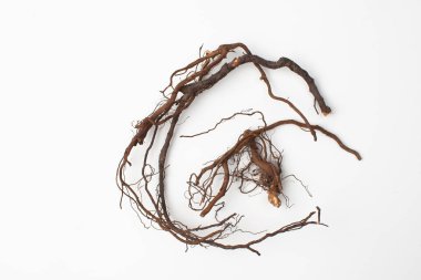 Wei Ling Xian, Clematis Kök Çin Bitkisi