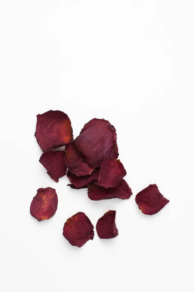 Pétalos secos de una rosa oscura sobre fondo blanco — Foto de Stock