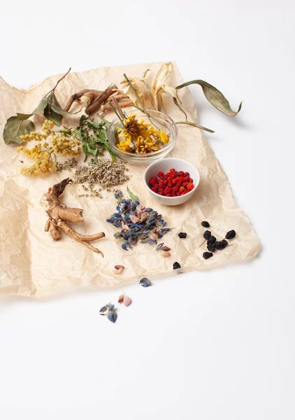 Herbal medicine ingredients on a white background — Stock Photo, Image