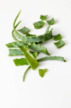 Aloe Vera beyaz arkaplandaki yaprakları kesti