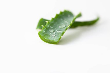 Aloe Vera beyaz arkaplandaki yaprakları kesti