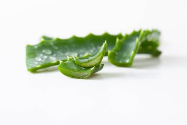Aloe Vera beyaz arkaplandaki yaprakları kesti