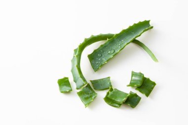 Aloe Vera beyaz arkaplandaki yaprakları kesti
