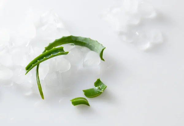 Aloe Vera Blätter und Eisstücke auf weißem Hintergrund — Stockfoto