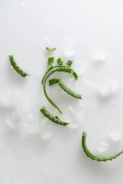 Aloe Vera листя і шматки льоду на білому тлі — стокове фото
