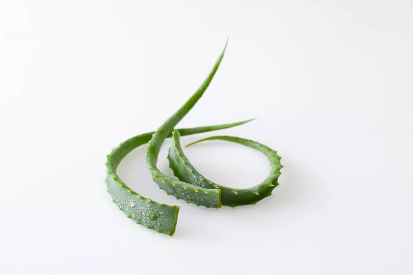 Aloe Vera hojas cortadas sobre fondo blanco — Foto de Stock