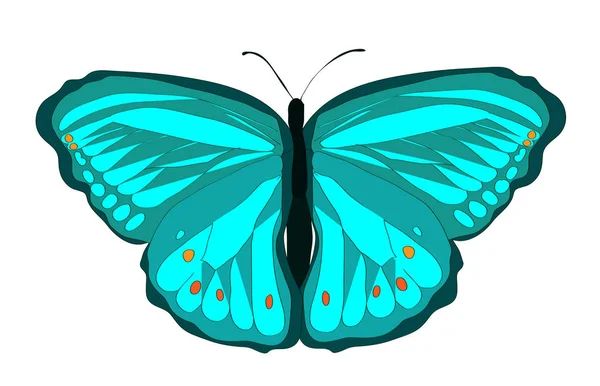 Mariposa monarca verde sobre fondo blanco — Vector de stock