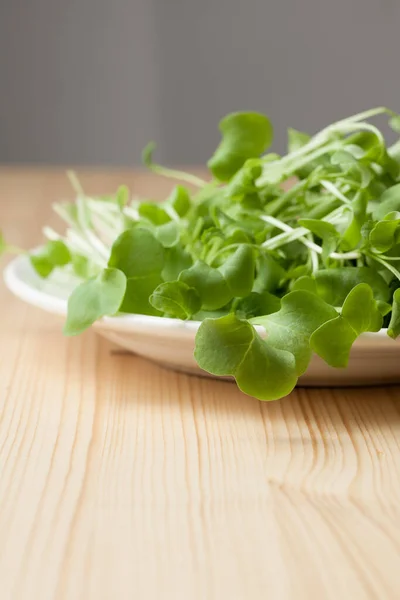 Achtergrond Afbeelding Van Jonge Greens Daikon Radijs Plaat Sluit Maar — Stockfoto