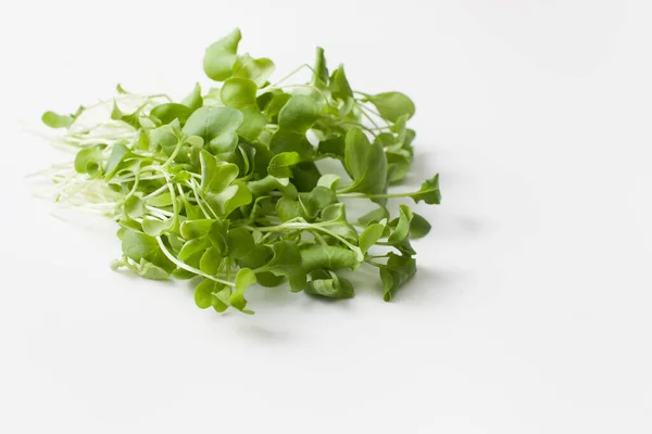 白い背景に若い大根の緑 それからサラダが脚気の治療やビーガン料理の調理に使用されている場合 テキストのコピースペース — ストック写真