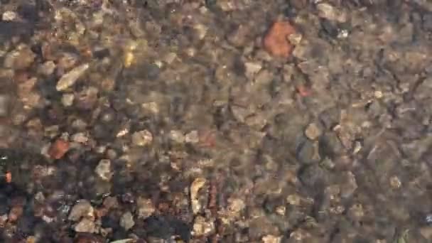 Blick Von Oben Auf Flaches Wasser Mit Felsen Und Wellen — Stockvideo