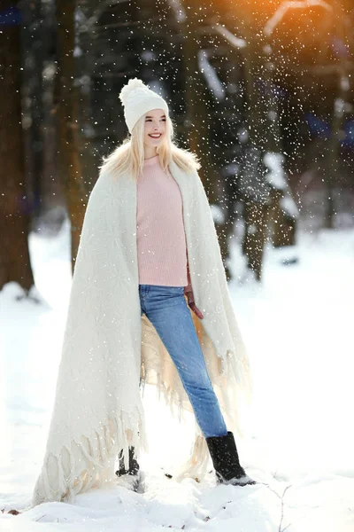 A téli táj szépsége nő — Stock Fotó
