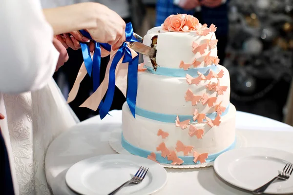 A bride and a groom is cutting their wedding cake — Stock Photo, Image