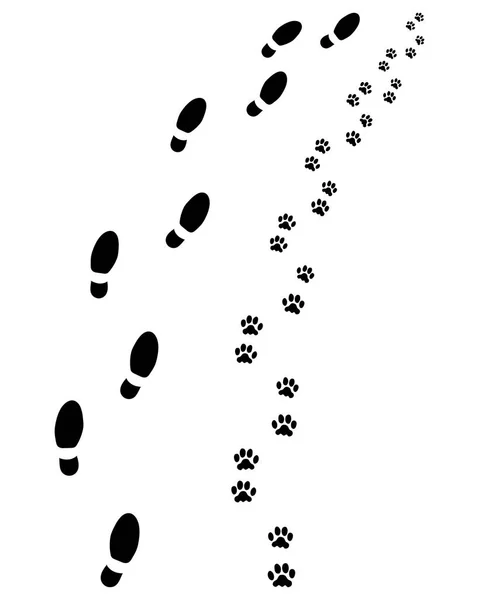人間と犬の足跡が右折します — ストックベクタ