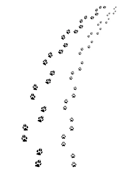 白い背景の上に犬の黒の足跡 — ストックベクタ