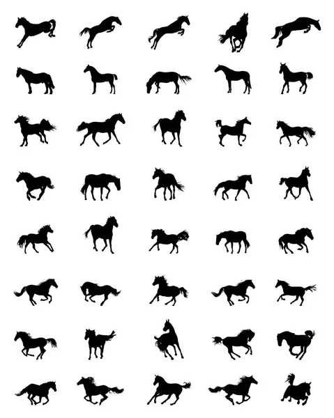 Black Silhouettes Horses White Background — Stock Vector
