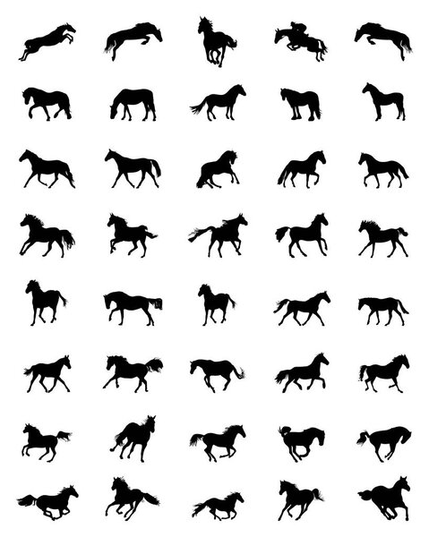 Black silhouettes of horses on a white background