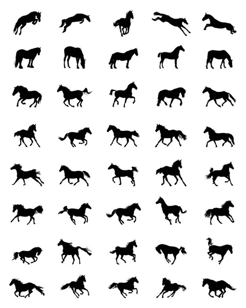 Silhouettes Noires Chevaux Sur Fond Blanc — Image vectorielle