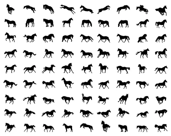 Beyaz arka planda büyük at siluetleri.