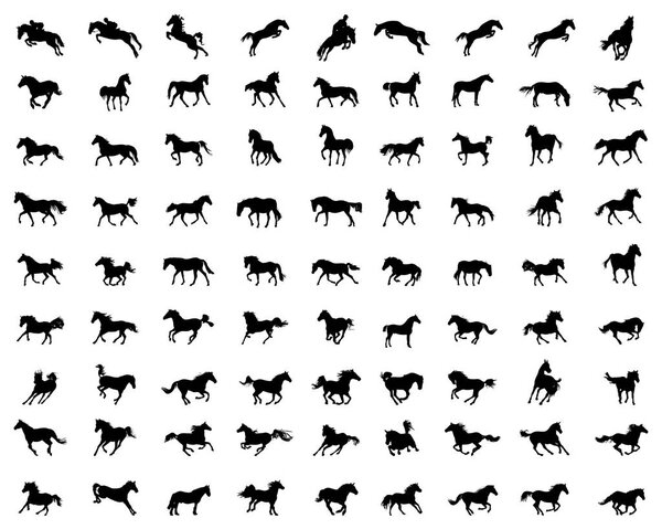 Big set of horses silhouettes on a white background