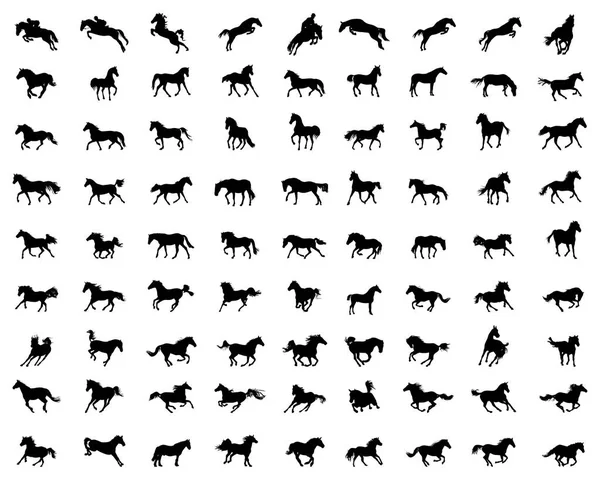 Big Set Horses Silhouettes White Background — Stock Vector