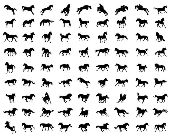 Big set of horses silhouettes on a white background