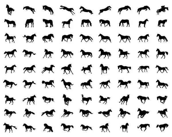 Big Set Horses Silhouettes White Background — Stock Vector