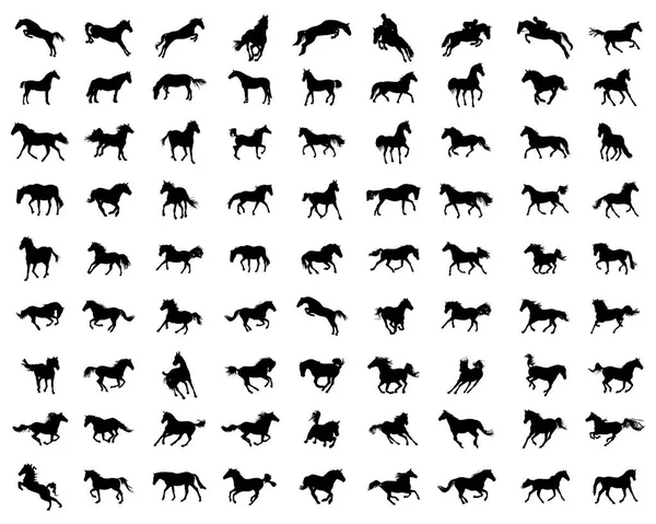 Big Set Horses Silhouettes White Background — Stock Vector