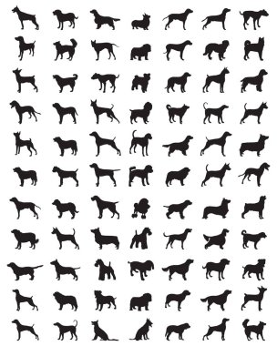 Beyaz arka planda farklı siyah köpek siluetleri.