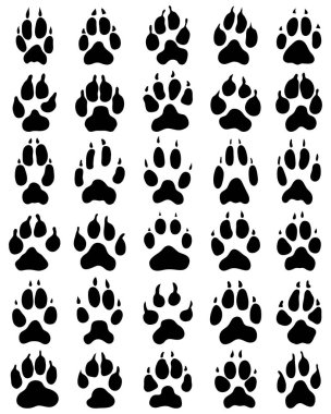Pençe köpek beyaz bir arka plan üzerinde siyah baskı