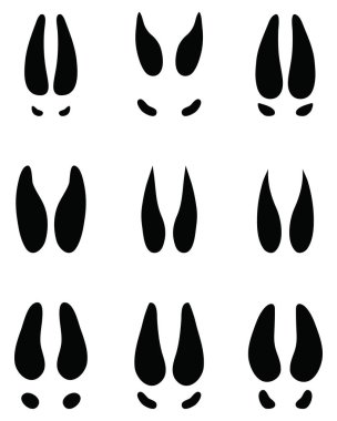 Beyaz arka planda siyah geyik ayak izleri.