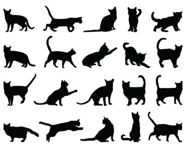 Beyaz arka planda siyah kedi siluetleri