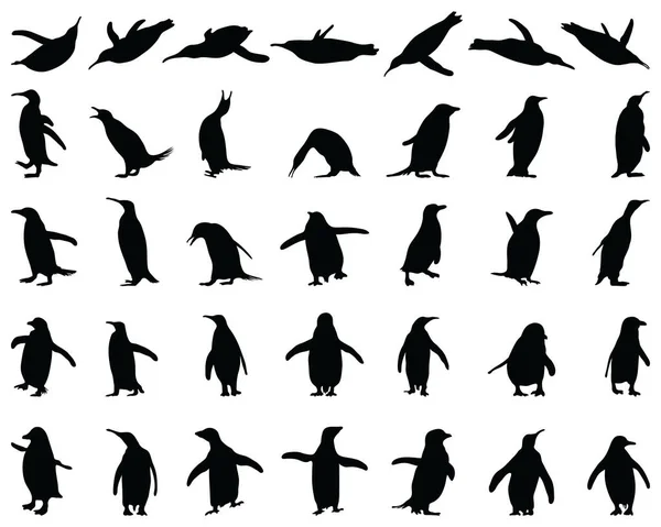 Schwarze Silhouetten Von Pinguinen Auf Weißem Hintergrund — Stockvektor