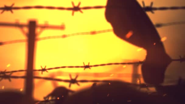 Barbwire Zombies Sunset Happy Halloween Loop Features Zombie Silhouettes Walking — Stock Video