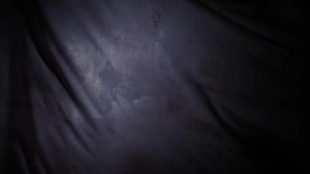 Кладбищенский Убийца Через Ткань Петля Показывает Ткань Плывущую Ветру Кладбищем — стоковое видео