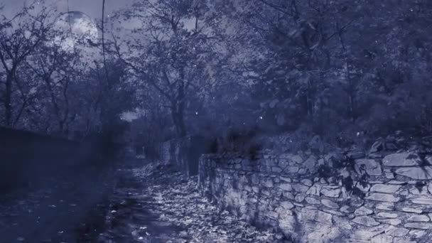 Walking Woods Fog Snow Loop Имеет Вид Камеры Идущей Вдоль — стоковое видео