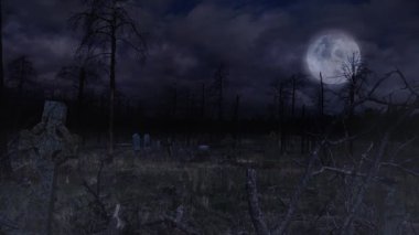 Burned Out Forest 4K Loop 'taki eski mezarlıkta, Kara Orman' da dolunaylı bir orman yangınında yanmış bir kadınla çevrili eski bir mezarlığın manzarası görülüyor..