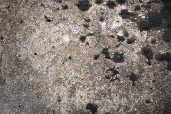 Kalıp ile Gloomy gri duvar 