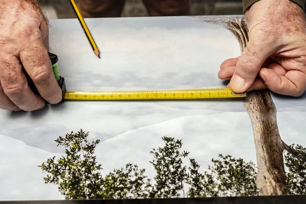 Man measuring the size of a photograph on the table