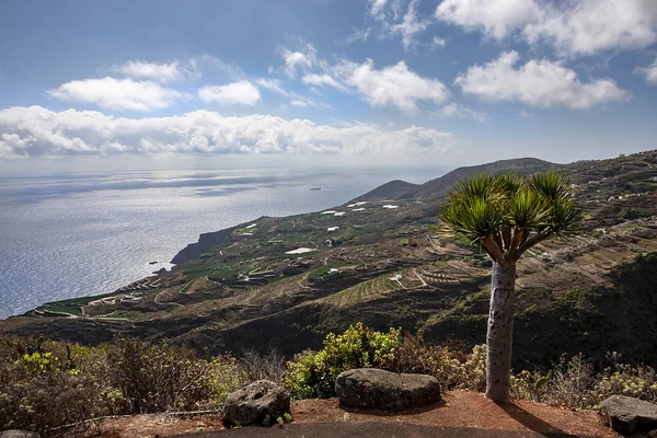Calma Tranquilidade Pôr Sol Ilha Palma Ilhas Canárias Espanha — Fotografia de Stock