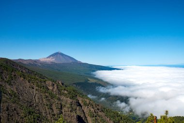 Tenerife Kanarya Adaları 'ndaki Teide Ulusal Parkı Çam ormanları ve güneşli bir günde bulut denizi