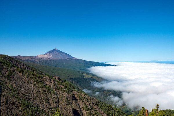 Национальный парк Тейде на Тенерифе Канарских островов, Испания, с его соснами и морем облаков в солнечный день
