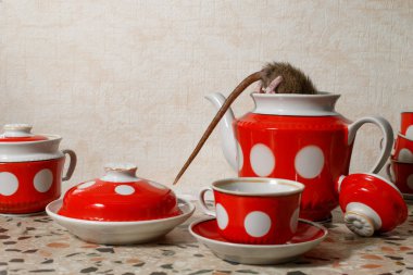 Bir evde mutfak tezgah üzerinde kırmızı su bardağı yakınındaki kırmızı çaydanlık içine closeup bir fare (Rattus norvegicus) tırmanıyor. Kemirgenler daire ile mücadele. İmha.